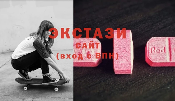ECSTASY Лагань
