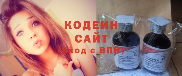 гашик Ладушкин