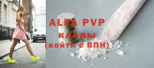 гашик Ладушкин