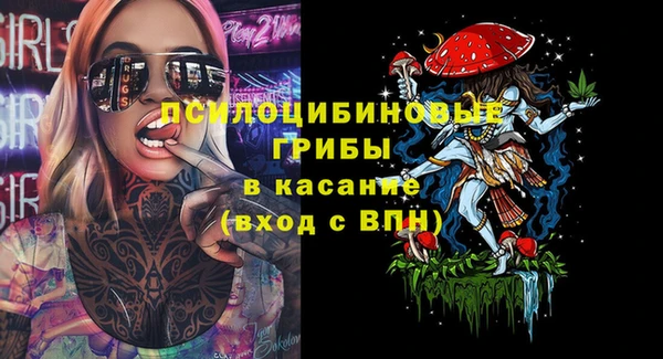 гашик Ладушкин