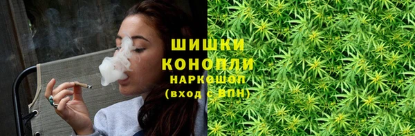 гашик Ладушкин