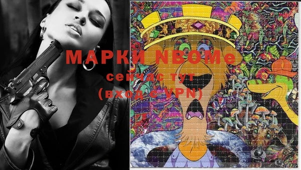 ECSTASY Лагань