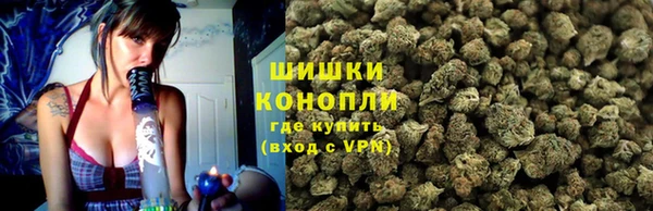 ECSTASY Лагань