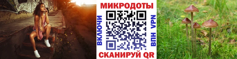 Псилоцибиновые грибы прущие грибы  Саранск 